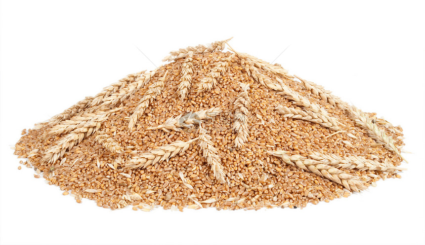 小麦谷盘粮食饮食谷物面包乡村食物农场营养烘烤收成图片
