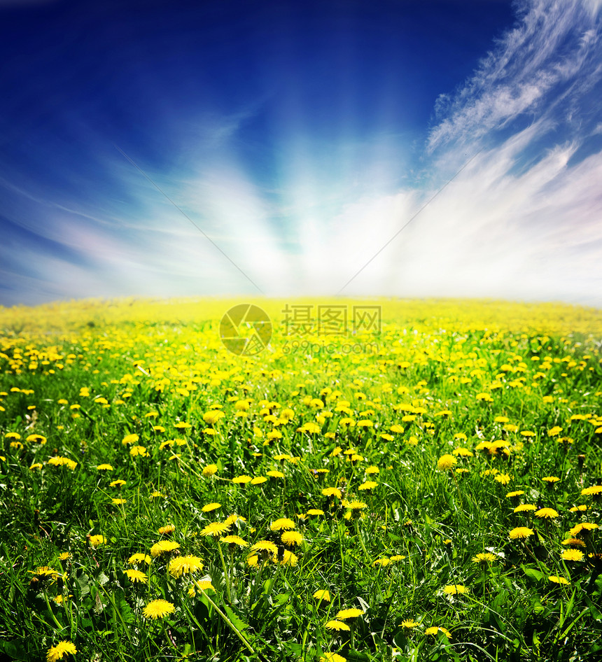 春草草地季节蓝色空地天空日落场地太阳晴天农村环境图片