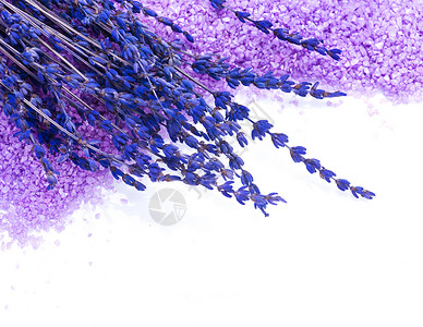 盐的淡紫蓝色边框背景图片