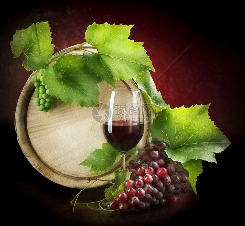 葡萄酒木桶艺术酒厂叶子藤蔓收成环境酿酒美食玻璃图片