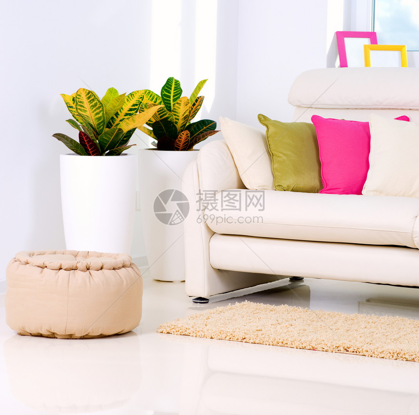 现代内地设计 白色客厅长椅框架房间装饰货架紫色椅子家具花朵枕头图片