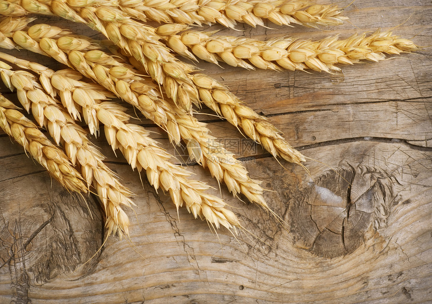 木材上的小麦耳目 食物背景生产粮食玉米薄片收成边界生长尖刺大麦耳朵图片
