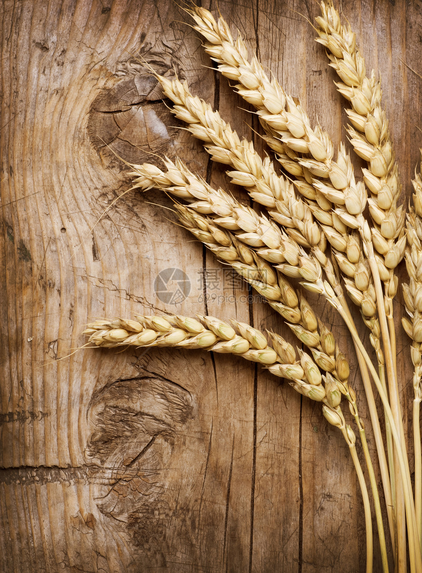 木材上的小麦耳目 食物背景收成植物薄片尖刺边界耳朵玉米生长农民粮食图片