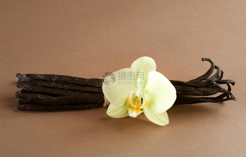 香草豆异国甜点美食香水香料兰花味道芳香食物烹饪图片