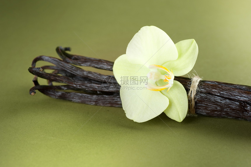 香草松紧带情调烘烤异国甜点香料兰花芳香味道美食图片