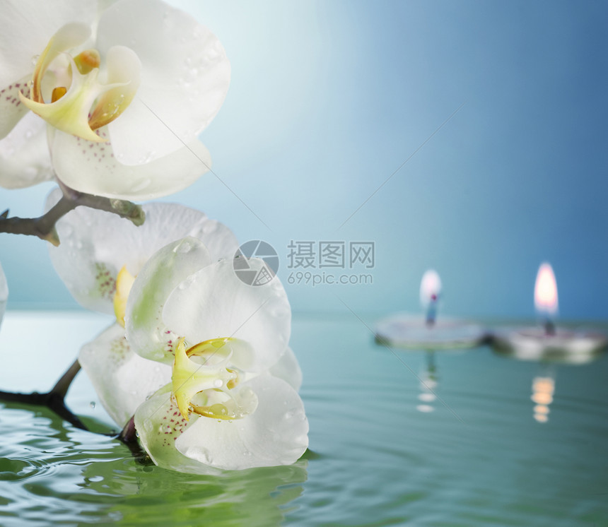 燃烧的漂浮蜡烛和鲜花液体天堂兰花沙龙植物群反射按摩宏观治疗美丽图片