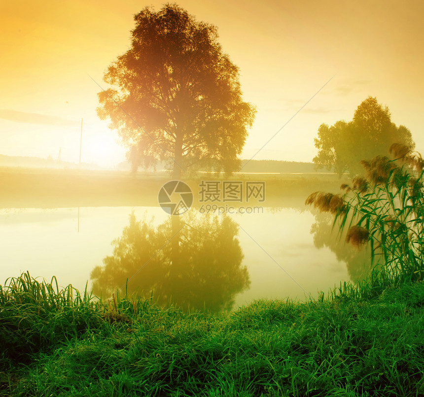 夏季风景与河流场地农村日落阳光天气环境公园花朵森林太阳图片