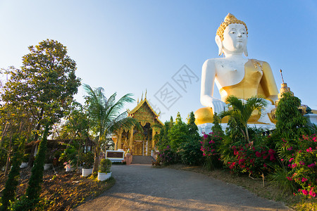 佛字佛佛在寺庙里数字雕像上帝雕塑公园监护人佛教徒宗教花园建筑学背景