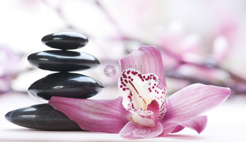 斯帕水疗石头中心文化治疗岩石温泉沙龙粉色黑色图片