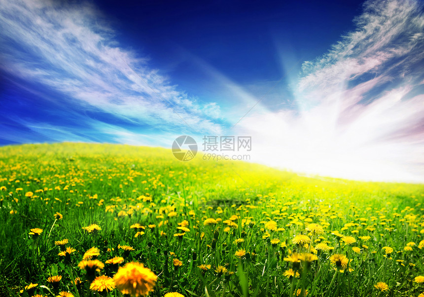 春季风景草地天空蓝色场地地平线国家空地横梁草原环境图片