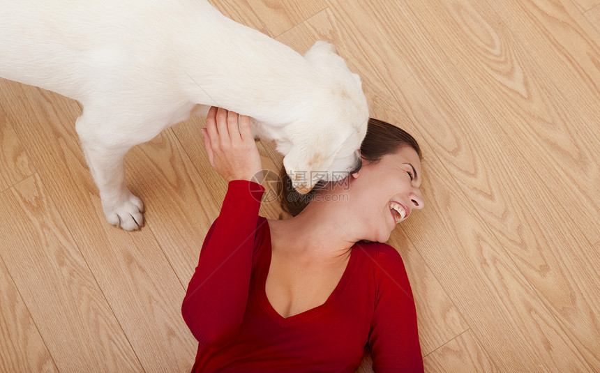狗在舔她的脸犬类黑发女性幸福猎犬红色哺乳动物地面女孩微笑图片