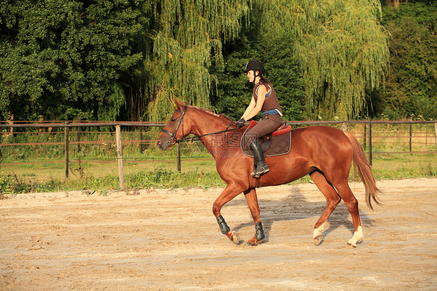 和骑马的马马术运动骑士训练骑术闲暇女人图片