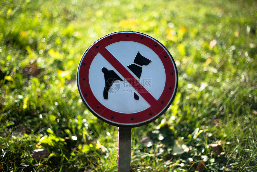 不允许有狗标志圆形危险红色宠物警告天空安全标签徽标入口图片