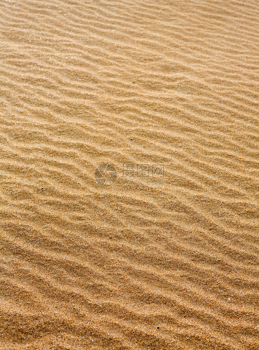 沙滩沙海沙浪温暖纹理模式图片