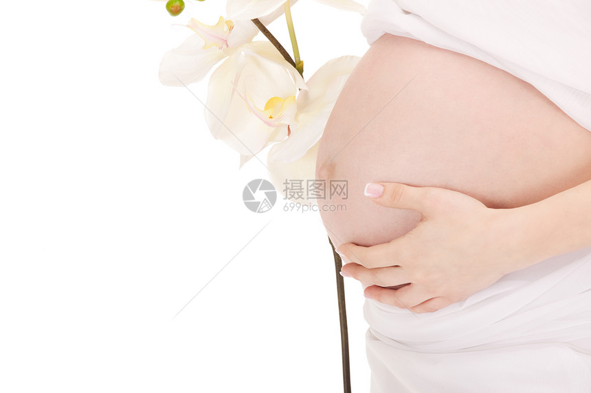 孕妇肚子女士妈妈身体女性母性劳动投标腹部植物福利图片