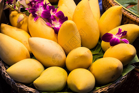 兰花素材芒果在篮子里物品水果异国杂货店热带文化店铺小吃美食气候背景