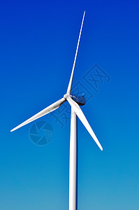 风风涡轮场地绿色技术树木风力资源风车科技涡轮机背景图片
