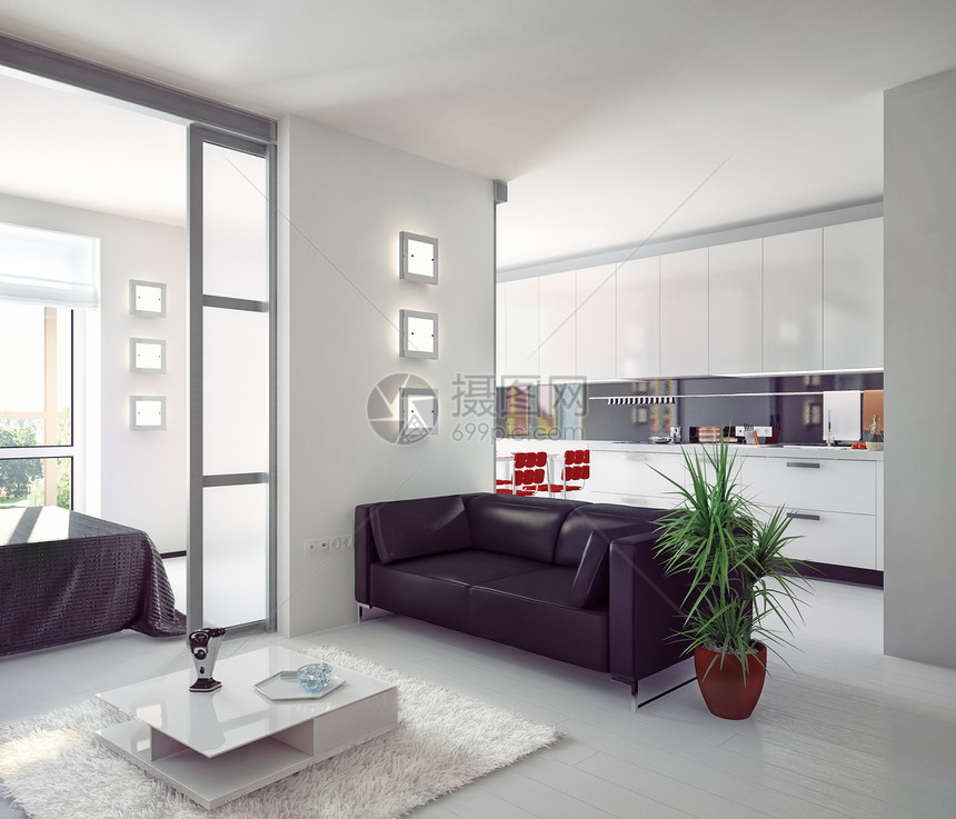 现代公寓真实感房子小地毯厨房阳光建筑学财产居民桌子房间图片