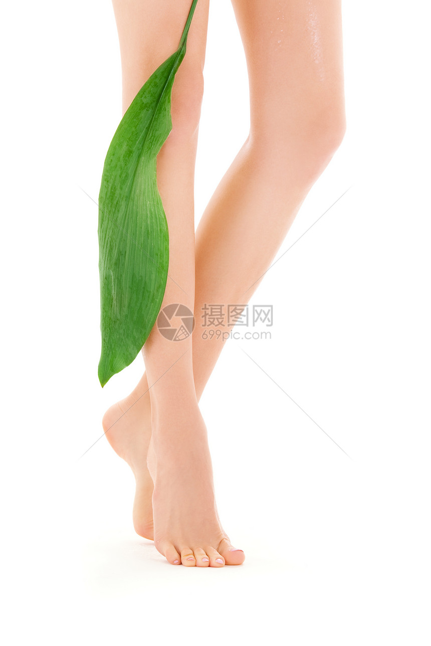绿叶女腿皮肤护理温泉福利脚尖活力平衡女孩身体叶子图片