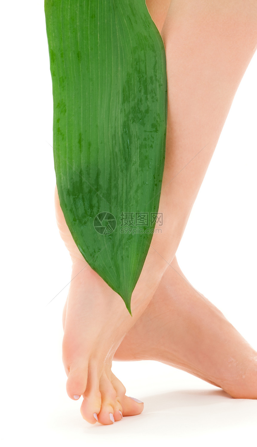 绿叶女腿护理福利叶子足疗平衡脚尖卫生身体脱毛修脚图片