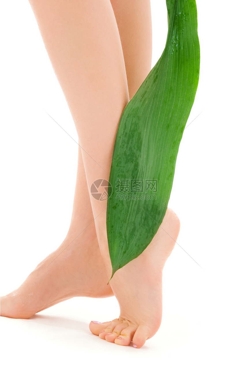 绿叶女腿植物叶子温泉福利极乐女性修脚赤脚活力脱毛图片
