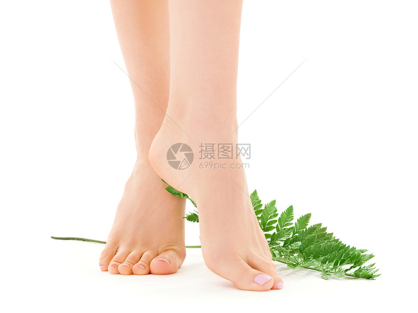 绿叶女腿皮肤平衡女性极乐温泉护理活力叶子身体足疗图片