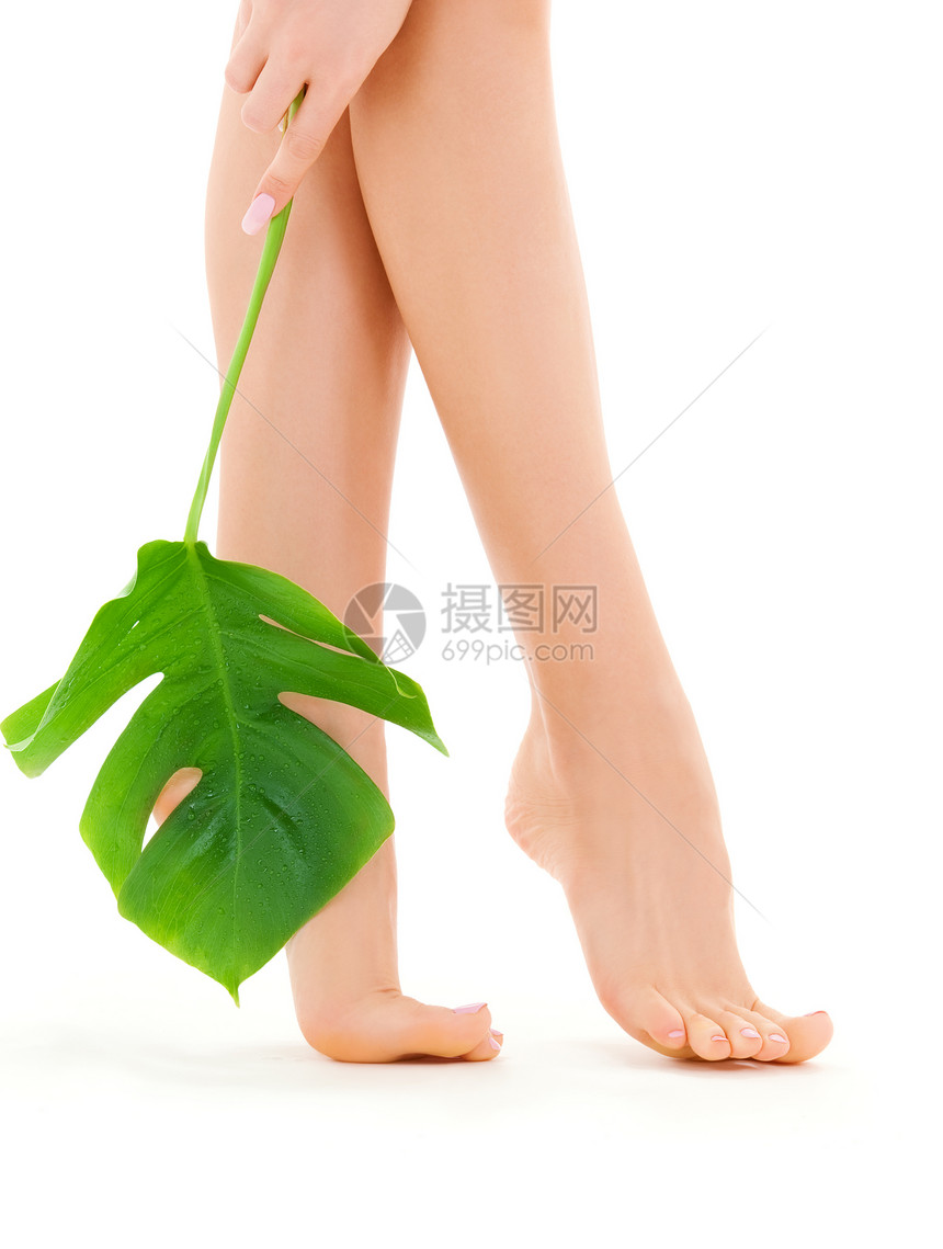 绿叶女腿极乐叶子植物平衡身体温泉脚趾护理卫生皮肤图片