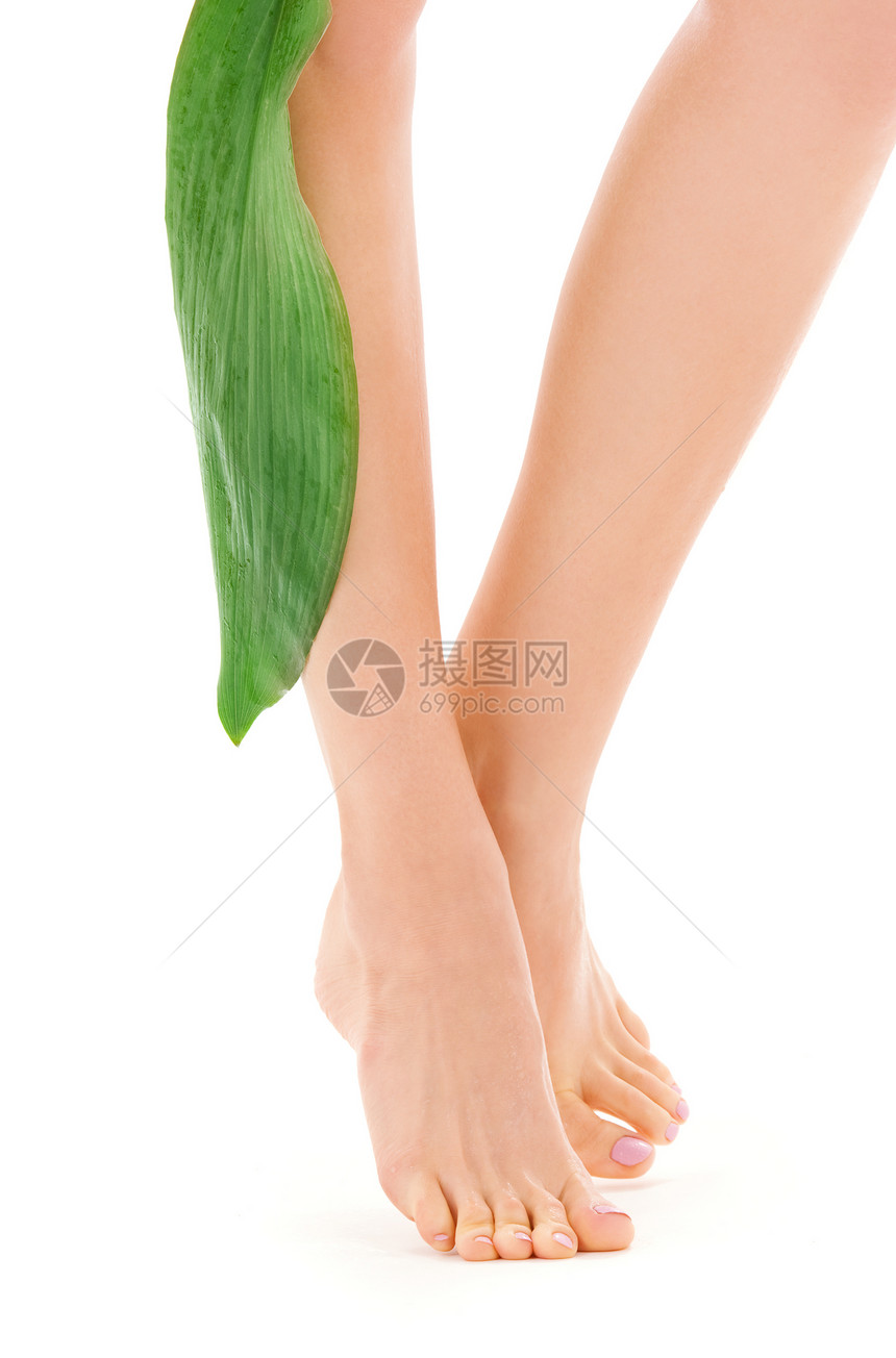 绿叶女腿叶子赤脚护理女性脱毛身体植物脚尖温泉卫生图片