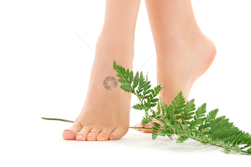 以绿叶为绿叶的女足活力女性卫生植物赤脚身体叶子皮肤温泉女孩图片