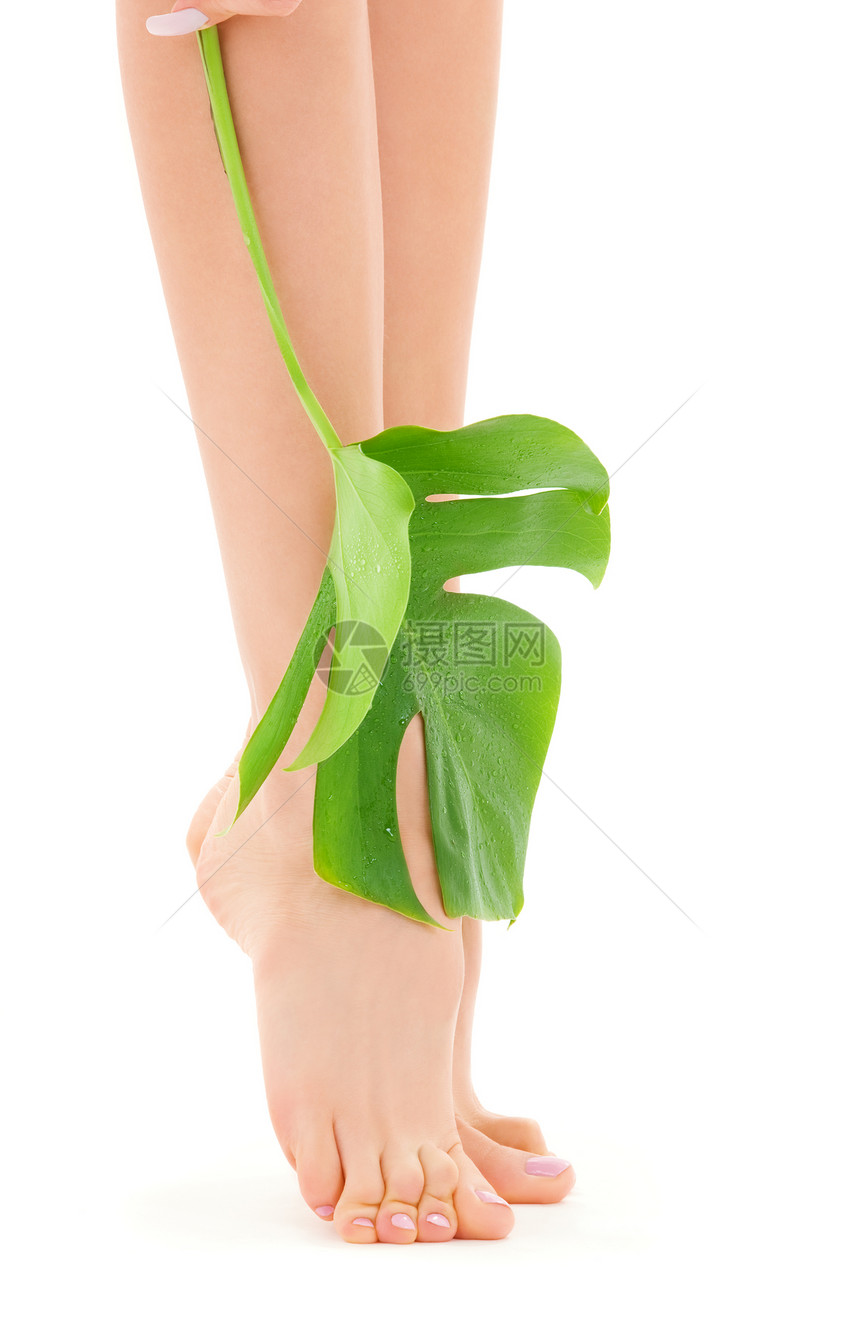 绿叶女腿温泉护理脚趾女孩女性足疗修脚植物福利极乐图片
