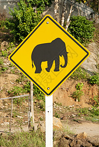 大象标志泰王国大象跨越公路标志情调旅行旅游异国岛屿游客假期热带背景