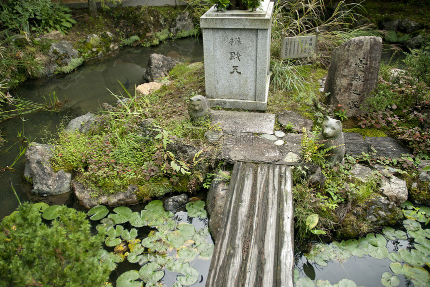 日托雅潘的日本传统花园绿色美化园艺植物图片