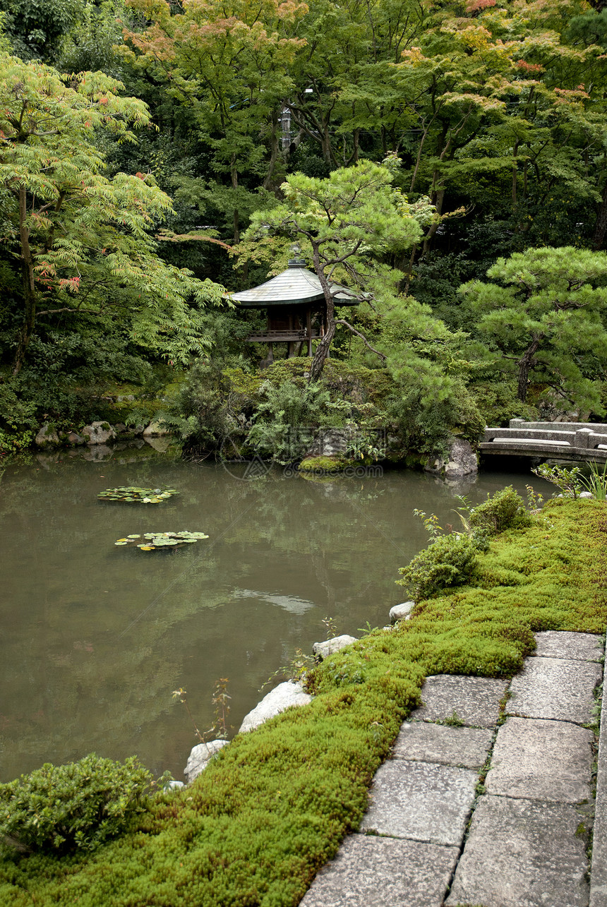日托雅潘的日本传统花园园艺植物绿色美化图片