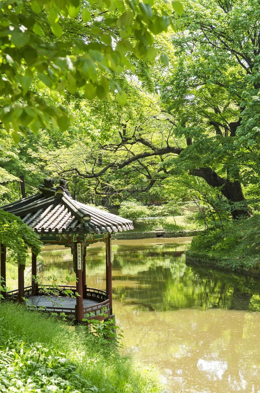 南科雷亚南部汉城的花园池塘吸引力建筑物游客旅行旅游图片
