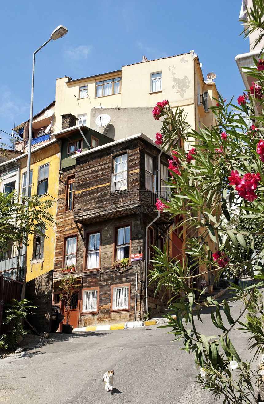 在伊斯坦布尔旧城火鸡中的传统房屋家园房子建筑街景城市风景建筑物街道图片