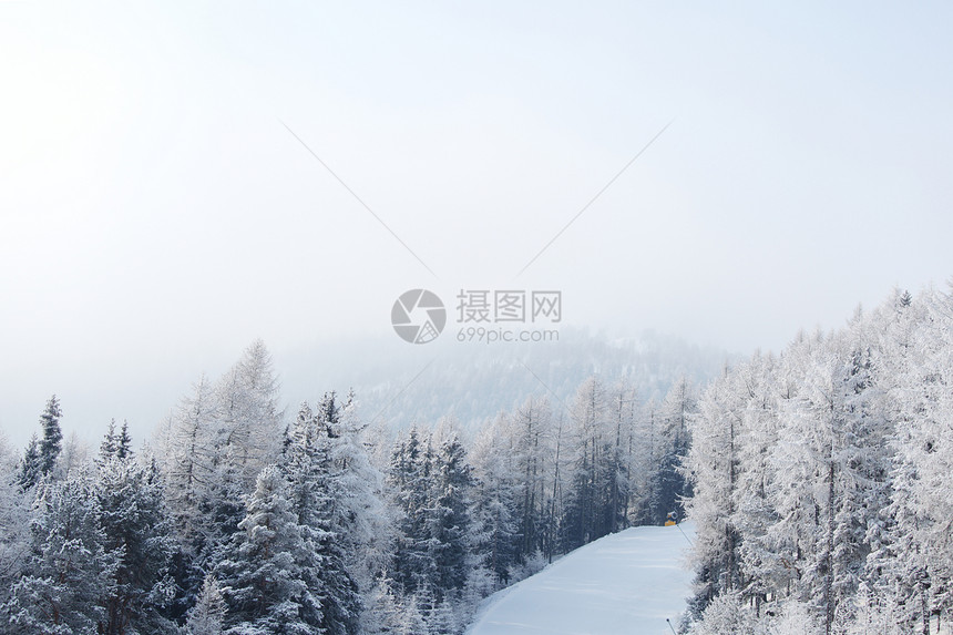 积雪中的森林首脑蓝色全景公园阳光高地场景天空降雪童话图片