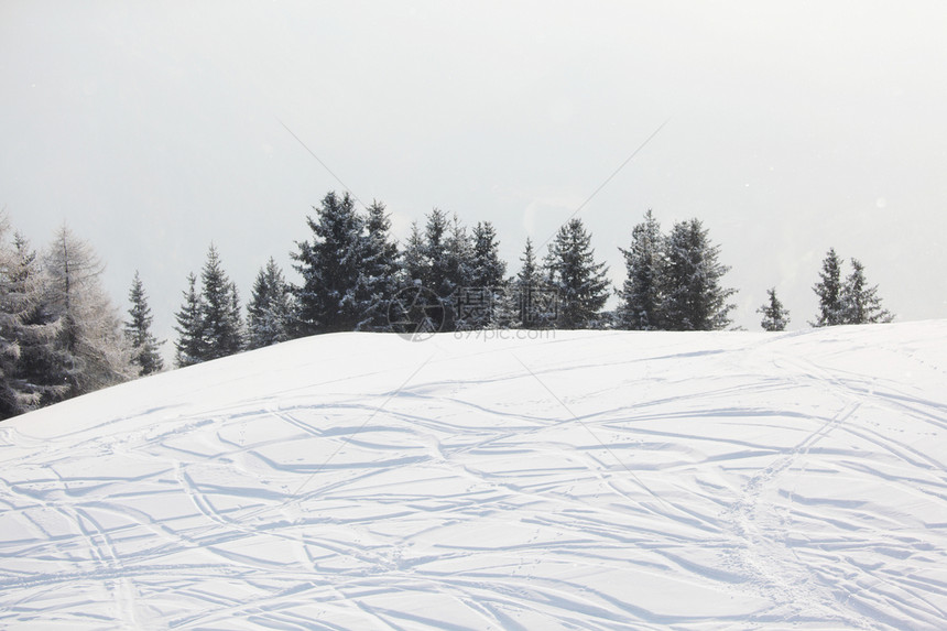 雪上滑雪痕迹娱乐运动踪迹季节小路云杉森林曲线国家路线图片