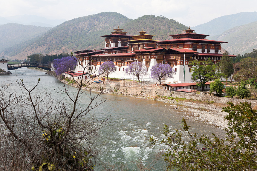 Punakha修道院图片