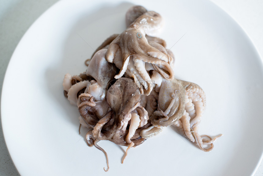 婴儿章鱼紫色鱿鱼笨蛋卡通片午餐乌贼油炸头足类动物生活图片