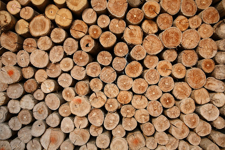 堆叠木木材年轮纹理木头木桩背景图片