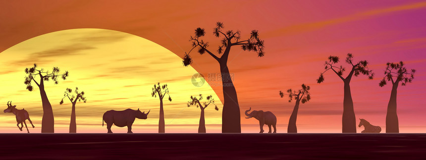 日落前草原风景犀牛团体哺乳动物墙纸生态阴影太阳插图动物群天空图片