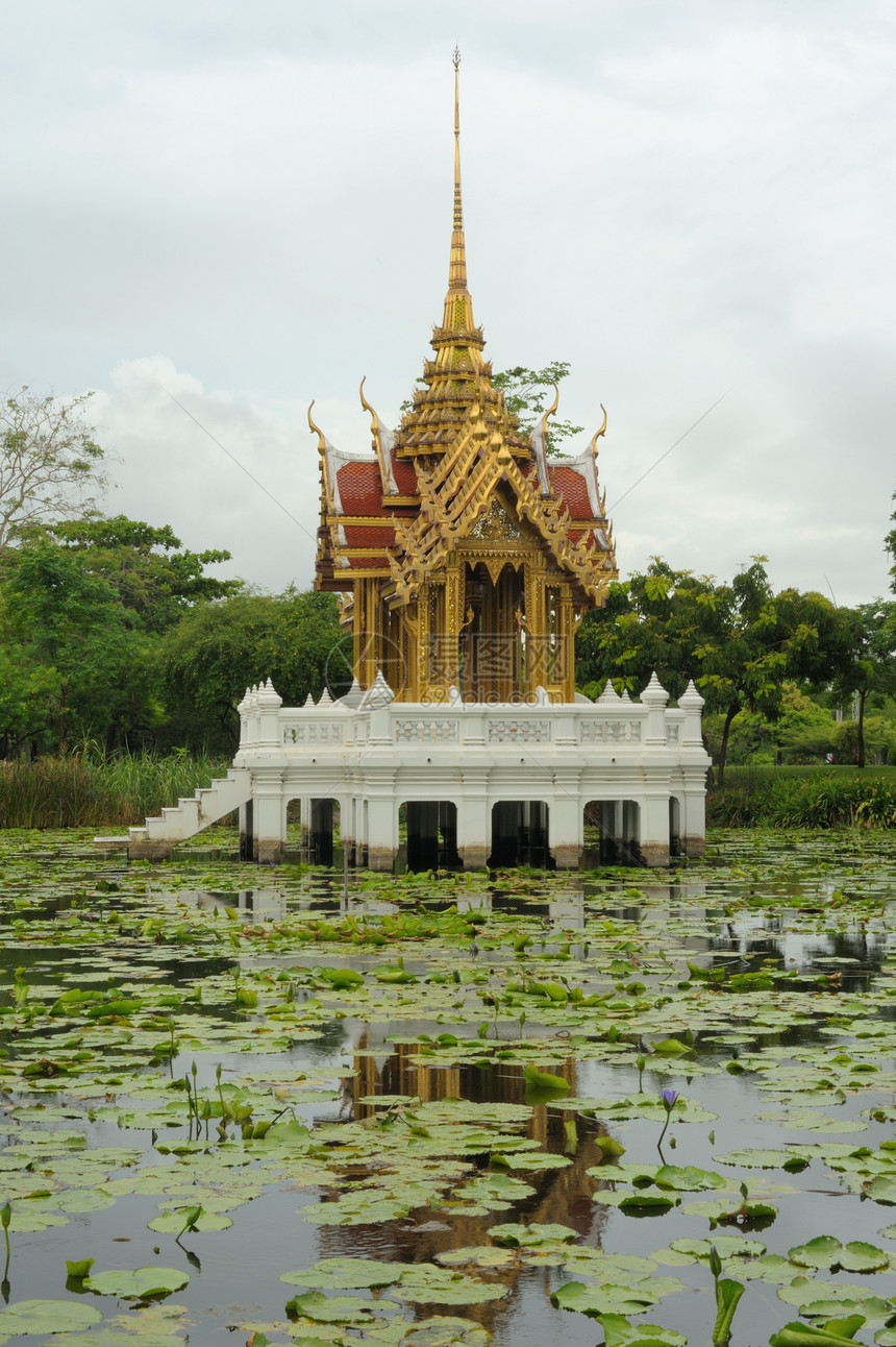 位于的莲花池中的泰国馆图片