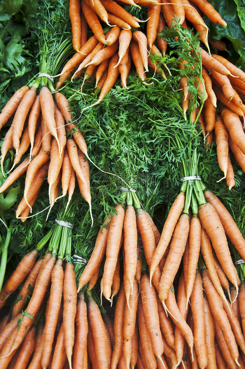 胡萝卜木板蔬菜萝卜食物营养橙子农民水果烹饪团体图片