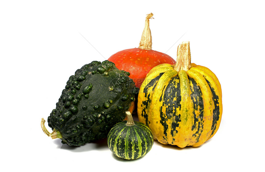 水果装饰品蔬菜葫芦壁球收成绿色南瓜红色黄色食物农业图片