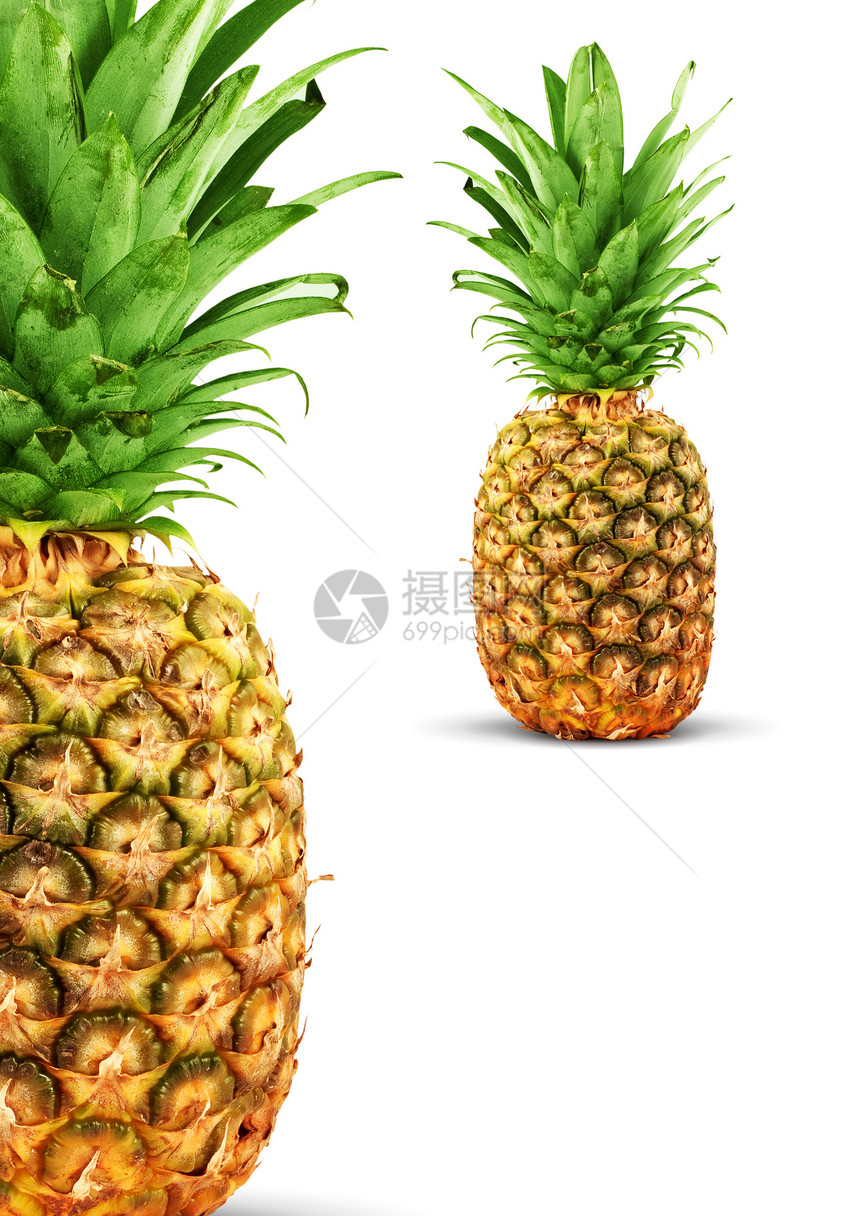 提取菠萝食物叶子热带香味小吃养分植物水果果汁绿色图片
