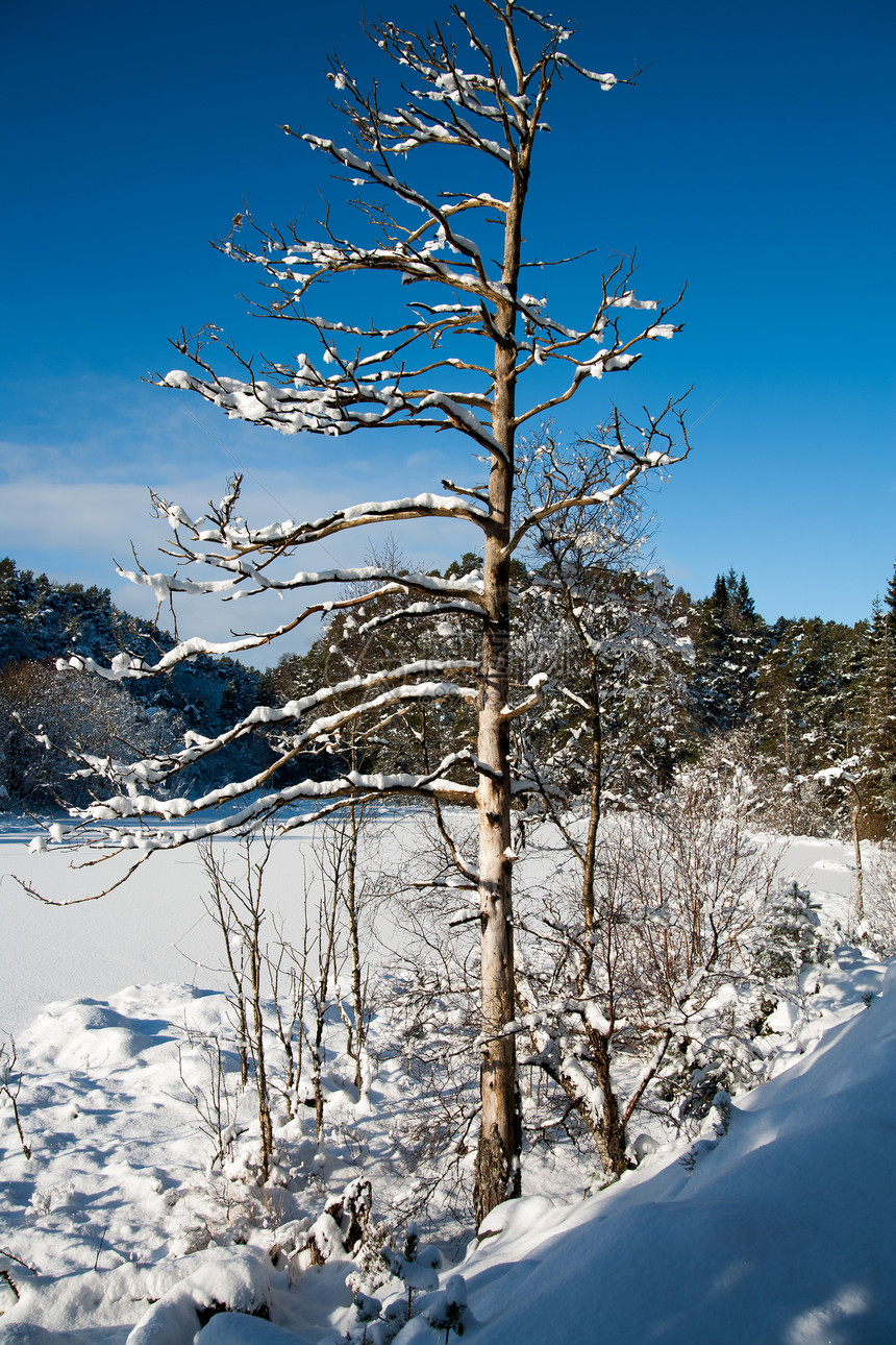 挪威冬季风景挪威森林旅游文化景观游客树木荒野山脉天空目的地图片