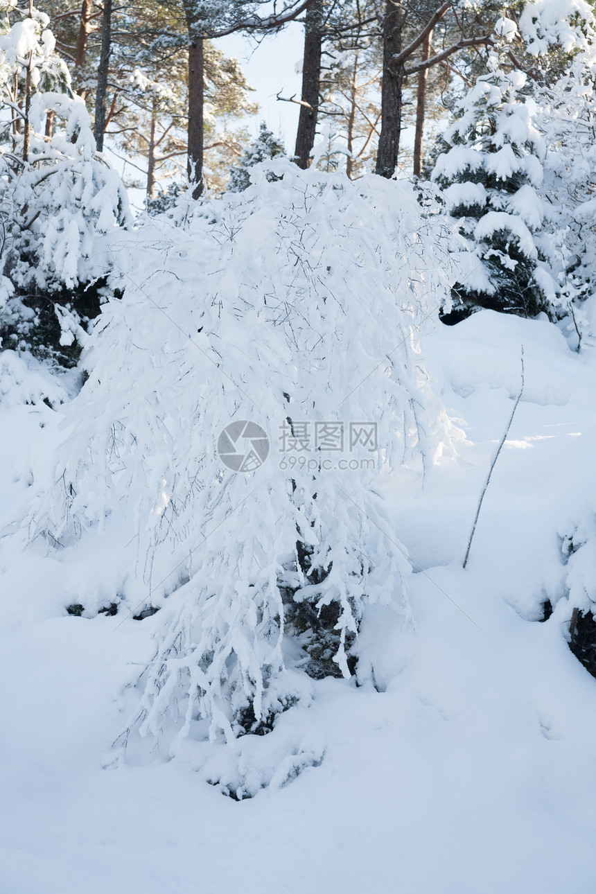 挪威冬季风景挪威山脉目的地景观森林文化游客旅游树木天空荒野图片