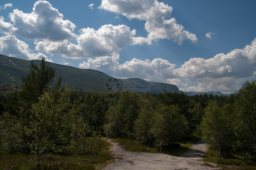 照片来自挪威峡湾游客风景景观山脉蓝色森林荒野瀑布目的地图片