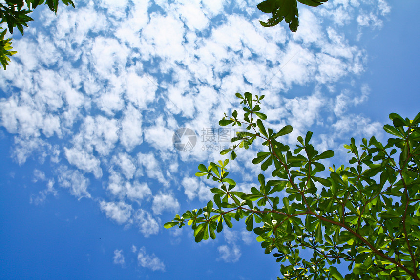 天蓝云环境气象气候白色场景天际天堂自由蓝色云景图片