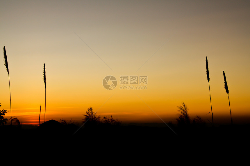 日落山天空季节环境植物阳光公园叶子顶峰草地日落图片